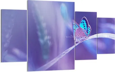 Produktbild von Bild auf Leinwand - Leinwandbild - Schmetterling Natur - 160x90cm - Wand Bild - Wanddeko - Leinwanddruck - Bilder - Kunstdruck - Wanddekoration - Leinwand bilder - Wandkunst - DL160x90-3879