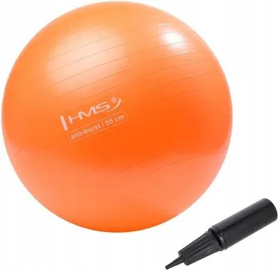 Produktbild von HMS Gymnastikball Reha für Fitnessübungen 55 cm