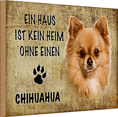 Produktbild von Holzschild Spruch Chihuahua 30x20cm Haus ist kein Heim ohne
