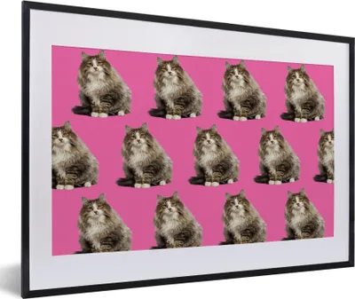Produktbild von MuchoWow® MuchoWow® Gerahmtes Poster Tier - Muster - Rosa 60x40 cm - Poster mit zchwarzem Bilderrahmen - Schlafzimmer - Plakat in Rahmen - Drucken
