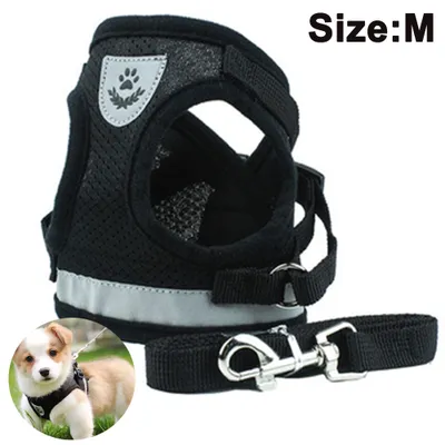 Produktbild von Hundegeschirr und Leinen Set für Hunde, Weich Mesh Gepolstert Geschirr für Welpen und Katzen, Reflektierende Verstellbare Atmungsaktive Brustgeschirr für Gehen, Laufen, Training (Schwarz  M)