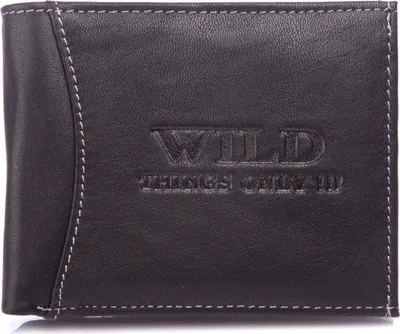 Produktbild von WILD Kleine Herrenportemonnaie Geldbörse Brieftasche aus Echtleder Schwarz