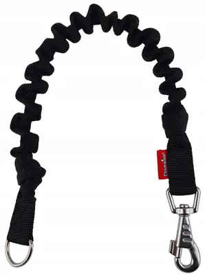 Produktbild von Champion Leinen-Dämpfer für Hunde, elastisch, schwarz