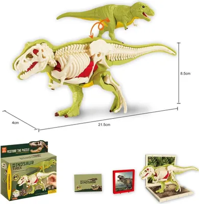 Zdjęcie produktu dla Dinozaur ze szkieletem do składania