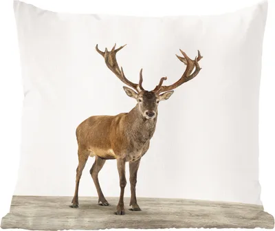 Produktbild von MuchoWow® Zierkissen Sofakissen Wohnzimmer Dekokissen 50x50 cm Hirsche - Tiere - Geweih - Kinder - Mädchen - Jungen - Komfort - Sofakissen