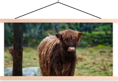 Produktbild von MuchoWow® Textilposter Schottisches Hochlandrind - Wald - Moos 120x60 cm mit holzfarbenen Rahmen - Klemmleiste