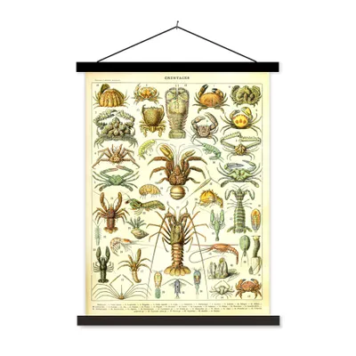 Produktbild von MuchoWow® Textilposter Hummer - Tiere - Meerestiere - Vintage - Adolphe Millot 40x53 cm mit schwarzem Rahmen - Abbildung