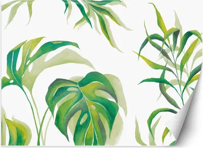 Produktbild von Vlies fototapete Monstera-Blätter 400x280 cm Feeby Weiß inkl. Kleber einfache Montage