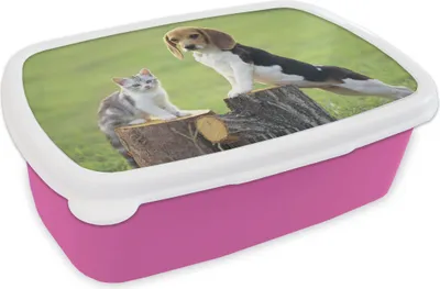 Produktbild von KitchenYeah® Lunchbox Brotzeit Brotdose 17x11 cm Katze - Hund - Baum Kinder Brotzeitdose - Lunchpaket - Brotkasten  - Sandwich Box