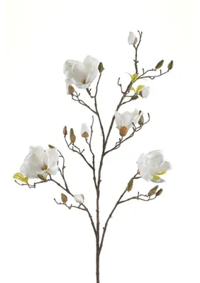 Produktbild von künstlicher Magnolienzweig creme weiß H. 105cm Emerald Kunstblumen