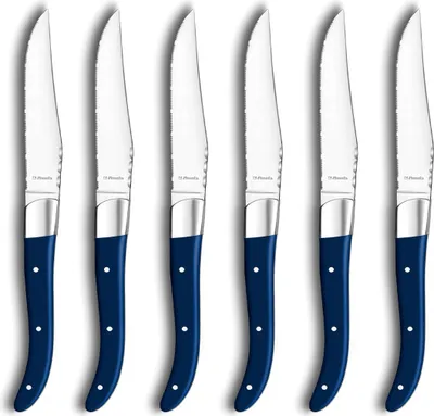 Produktbild von Amefa 6-tlg. Steakmesser Set ROYAL STEAK