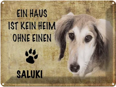 Produktbild von vianmo Blechschild 30x40 cm Saluki Hund ohne kein Heim