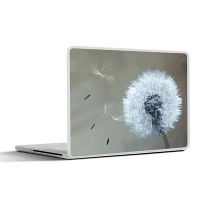 Produktbild von MuchoWow® Laptop Aufkleber Sticker Cover Löwenzahn - Blume - Pflanze 36.5x27.5 cm - Laptop-Sticker