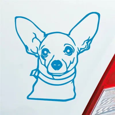 Produktbild von Auto Aufkleber Chihuahua Hund Dog Animal Tier Car 10x10 cm Hellblau Sticker Heckscheibenaufkleber