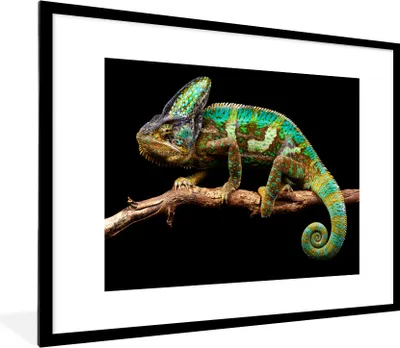 Produktbild von MuchoWow® MuchoWow® Gerahmtes Poster Chamäleon mit einer Tarnfarbe 80x60 cm - Poster mit zchwarzem Bilderrahmen - Schlafzimmer-Dekorationen - Fotoposter