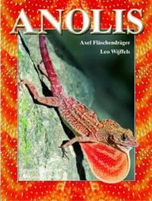 Produktbild von Anolis