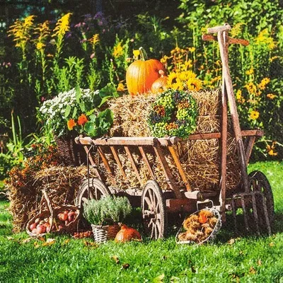 Produktbild von 20 Servietten Handcart - Handwagen mit Heuballen 33x33cm