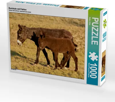 Produktbild von Calvendo Eselstute mit Fohlen 1000 Teile Puzzle quer 640x480mm, Bölts Meike; 7289713