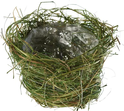 Produktbild von Grüner Pflanztopf Ø12 cm, 7 cm hoch