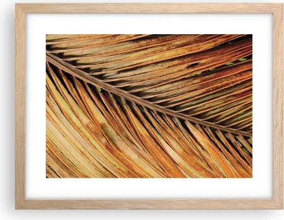Produktbild von Gerahmtes Poster - Rahmen in heller Eiche - Orange Blatt Tropisch - 40x30 cm - Wand Bild - Wanddeko - Wandbilder - Kunstposter - Wandposter - Bilderrahmen - Bilder - Kunstdruck - P2NAA40x30-4876