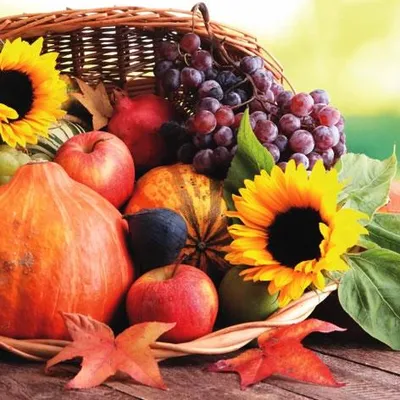 Produktbild von 20 Servietten Thanksgiving Dinner - Korb voller Ernte 33x33cm