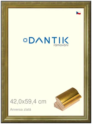 Obrázok produktu pre Rám DANTIK 42x59,4 | ANIVERSA gold (Plexi Clear)