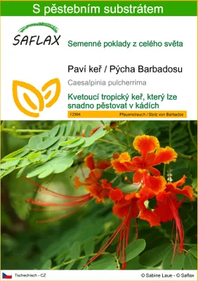 Obrázek produktu pro SAFLAX - Paví keř / Pýcha Barbadosu - Caesalpinia pulcherrima - 10 Semena - S pěstebním substrátem bez klíčků