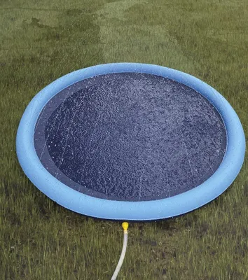 Immagine prodotto di Piscina gonfiabile per bambini e animali domestici