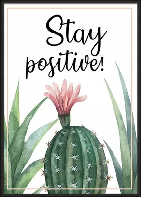 Obrázek produktu pro Obrazový plakát v rámu 43x33 cm Cactus P719