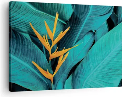 Produktbild von Bild auf Leinwand - Leinwandbild - Einteilig - Blumen Tropen Blätter - 70x50cm - Wand Bild - Wanddeko - Wandbilder - Leinwanddruck - Bilder - Wanddekoration - Leinwand bilder - Wandbild - AA70x50-5116