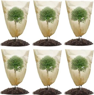 Image de Protection hivernale pour plantes, lot de 6, 60 x 80 cm, résistante au gel