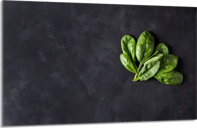 Image de Plaque de recouvrement pour cuisinière 80x52cm en 1 partie Couverture de plaque vitrocéramique Protection anti-éclaboussures, Ardoise Basilic