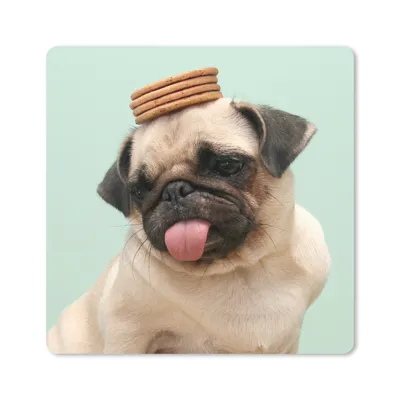 Produktbild von MuchoWow® Mauspad Mousepad Hund - Lustig - Kekse - Kinder - Jungen - Mädchen - Kinder 30x30 cm - Mousepads - Maus Mat - Pad - Mausunterlage - Gaming