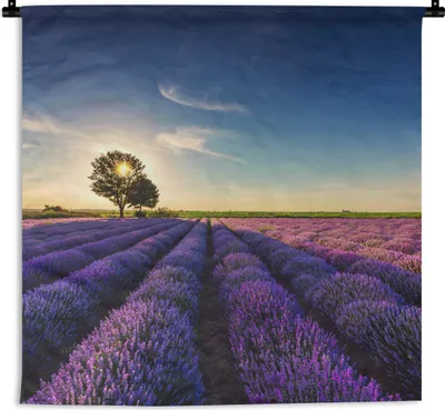 Produktbild von MuchoWow® Wandteppich Wandbehang Lavendel - Sonne - Baum - Blumen - Lila 120x120 cm Tapisserie Dekoration Wandtuch - Modern - Baumwollgewebe