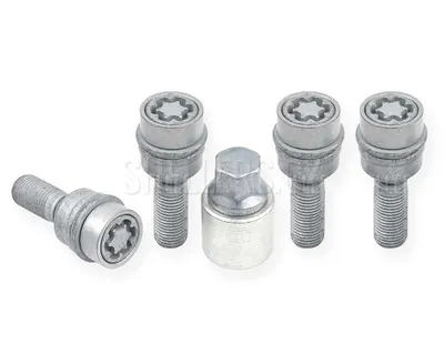 Obrázek produktu pro Pojistné bezpečnostní šrouby M14x1,5x29 kulová R14 pohyblivá, klíč 19, SICUSTAR VN529RAR14