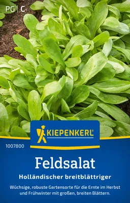 Produktbild von Kiepenkerl Feldsalatsamen Holländischer breitblättriger Valerianella locusta 10-12 lfd. Meter