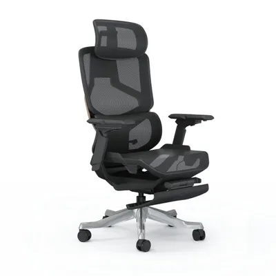 Produktbild von SKYLAND Bürostuhl Ergonomisch | Schreibtischstuhl Doppel-Lendenwirbelstütze & 6D Armlehnen | Netzstuhl 145 Grad Neigbar | Drehstuhl Home Office 120 kg Schwarz