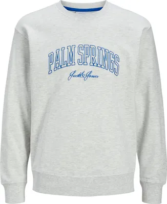 Imagen del producto de Sudadera Jack & Jones Detroit, color gris, talla M (para hombre)