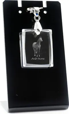 Produktbild von Arabisches Pferd - Crystal pendant with horse, photo necklace, unique jewellery by Art-Dog