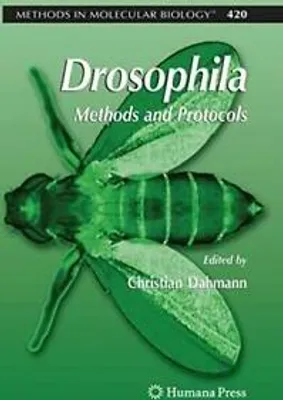 Image de Drosophila