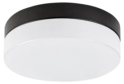 Immagine prodotto di Rabalux 75026 Lampade da bagno in metallo nero