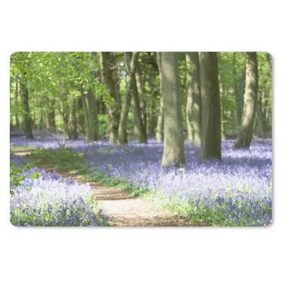 Produktbild von MuchoWow® Schreibtischunterlage Wald - Weg - Blumen - Lila - Grün - Natur 60x40 cm - XXL Mauspad - Großes Mauspad