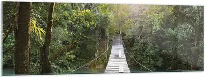 Produktbild von Bilder auf glas - Einteilig - Brücke Seil Dschungel - 160x50cm - Glasbilder - Wandbilder - Bilder - zum Aufhängen bereit - Wanddekoration aus Glas - Glas Bilder - Wandbild auf Glas - GAB160x50-4397