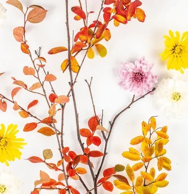 Produktbild von 20 Servietten Autumn Branch - Zweige mit Herbstfarben 33x33cm