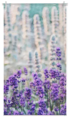 Produktbild von Lichtblick Rollo ohne Bohren, blickdicht, Tageslicht - bunt Lila 45 cm x 150 cm (B x L)