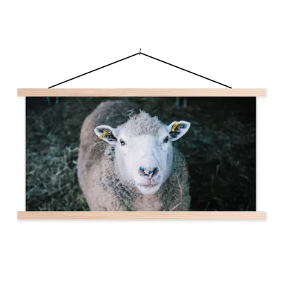 Produktbild von MuchoWow® Textilposter Schafe - Tiere - Rinder 120x60 cm mit holzfarbenen Rahmen - Klemmleiste
