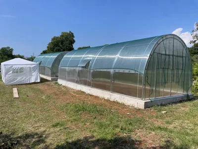 Immagine prodotto di TOP - Serra GOLEM PLUS 4x8m - Policarbonato 6mm, 2x finestre & 2x apri-finestra automatici & spedizione