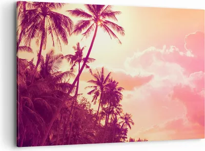 Produktbild von Bild auf Leinwand - Leinwandbild - palme dschungel - 120x80cm - Wand Bild - Wanddeko - Wandbilder - Leinwanddruck - Bilder - Kunstdruck - Wanddekoration - Leinwand bilder - Wandkunst - AA120x80-3994