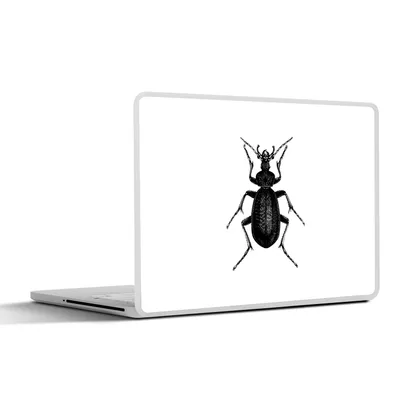 Produktbild von MuchoWow® Laptop Aufkleber Sticker Cover Schwarz und weiß - Käfer - Vintage - Insekten 25x18 cm - Laptop-Deko