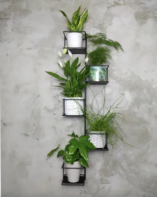 Produktbild von Blumentopf Pflanzenampel Hängeampel Hängepflanztopf Pflanzenbeet Deko Hängendes Blumenbeet Holz Schwarz